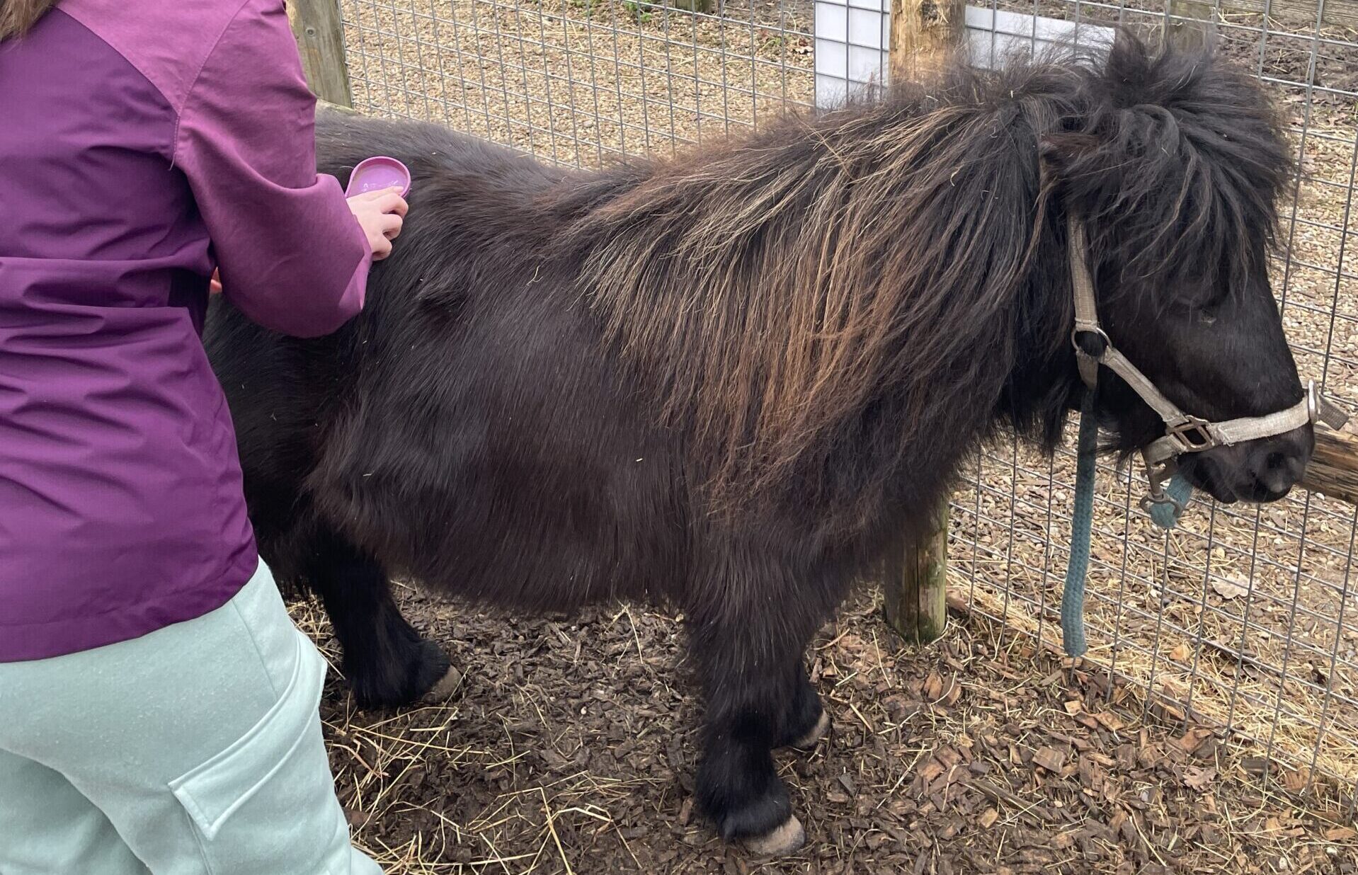 A day at Wroxham Barns