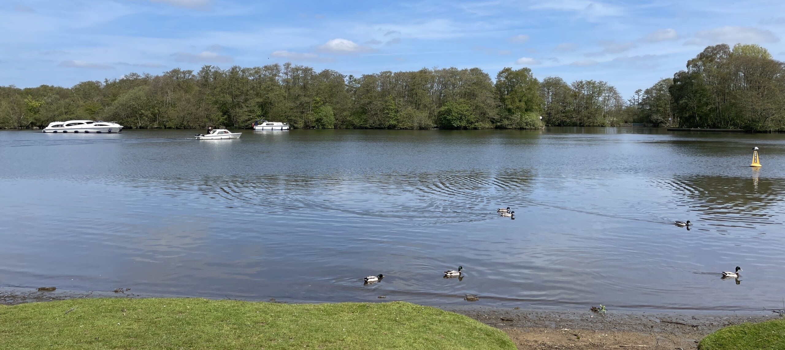 A trip to Salhouse Broad