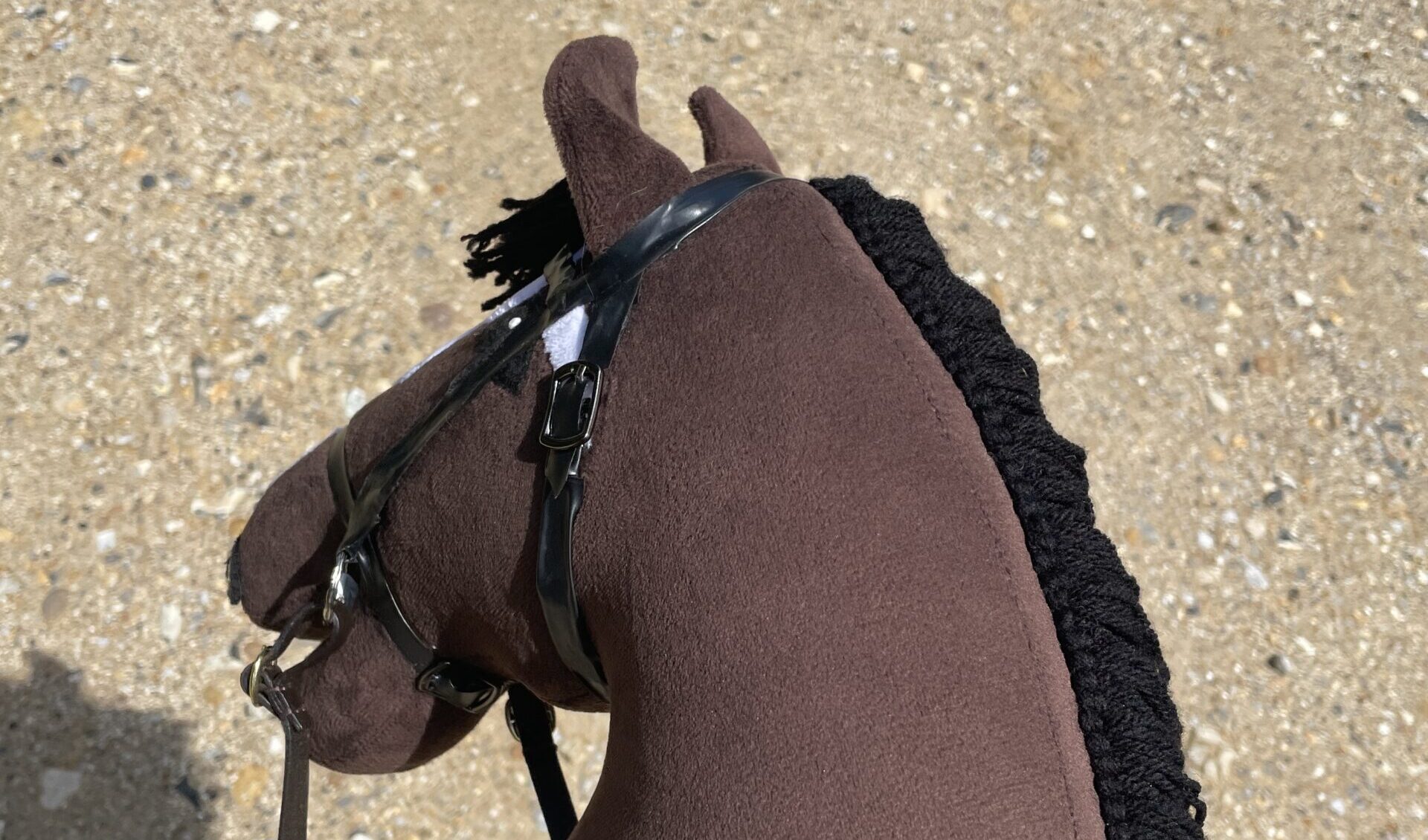 Hobby Horsing